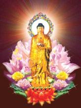 Vía Đức Phật A Di Đà
